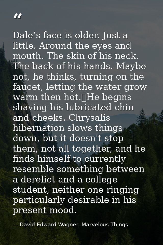 Dale’s face is older. Just a little. Around the eyes and mouth. The skin of his neck. The back of his hands. Maybe not,  — David Edward Wagner, Marvelous Things