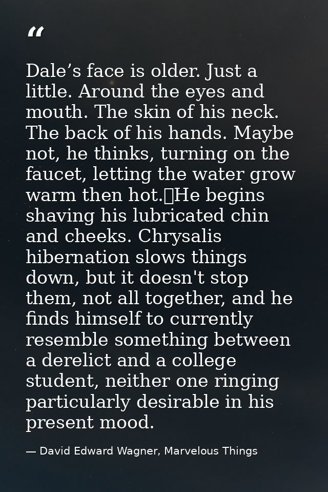 Dale’s face is older. Just a little. Around the eyes and mouth. The skin of his neck. The back of his hands. Maybe not,  — David Edward Wagner, Marvelous Things