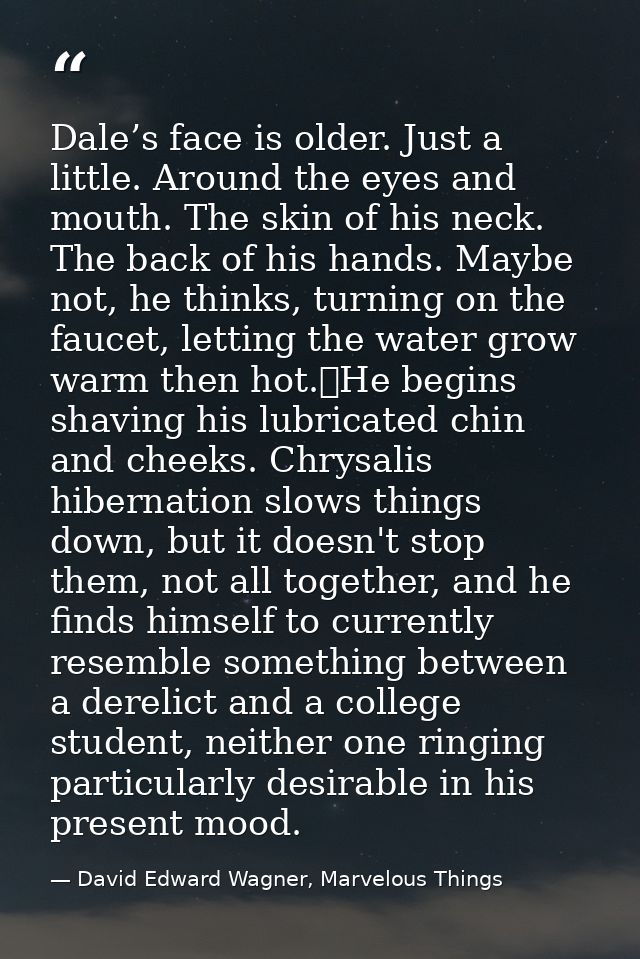 Dale’s face is older. Just a little. Around the eyes and mouth. The skin of his neck. The back of his hands. Maybe not,  — David Edward Wagner, Marvelous Things