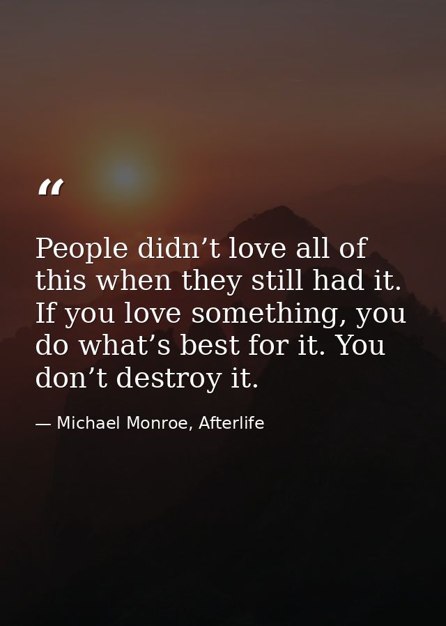People didn’t love all of this when they still had it. If you love something, you do what’s best for it. You don’t destr — Michael Monroe, Afterlife
