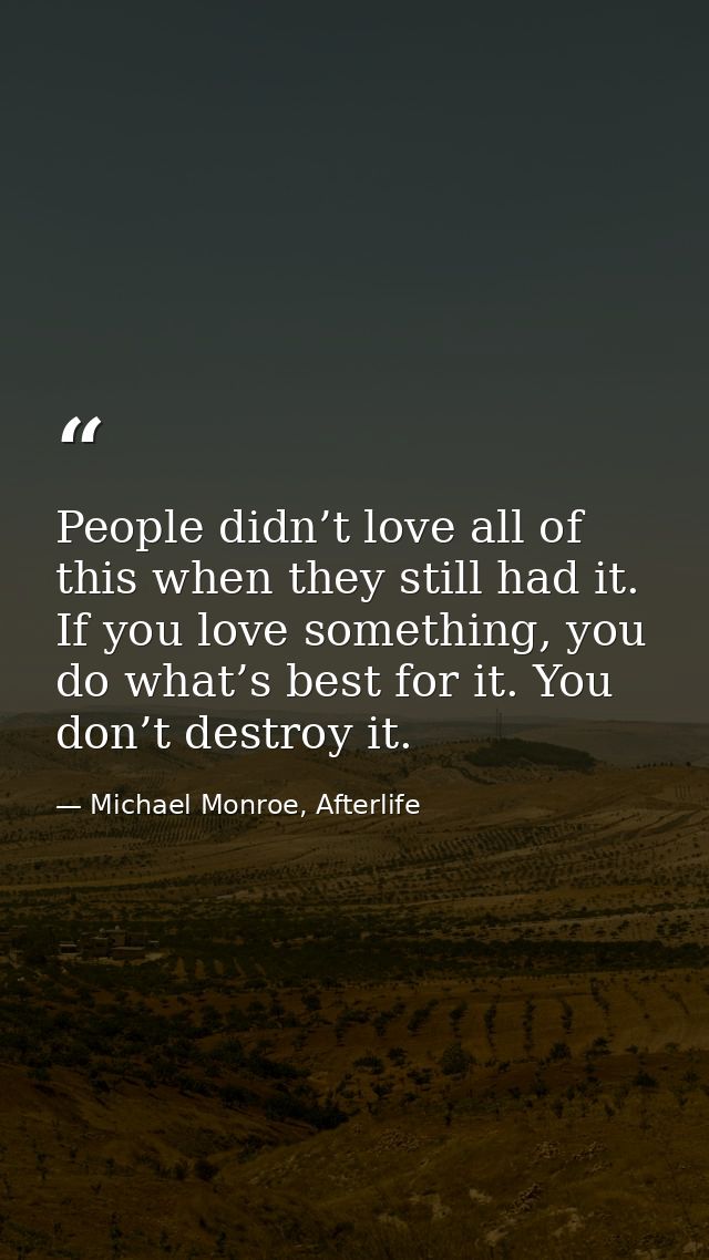 People didn’t love all of this when they still had it. If you love something, you do what’s best for it. You don’t destr — Michael Monroe, Afterlife