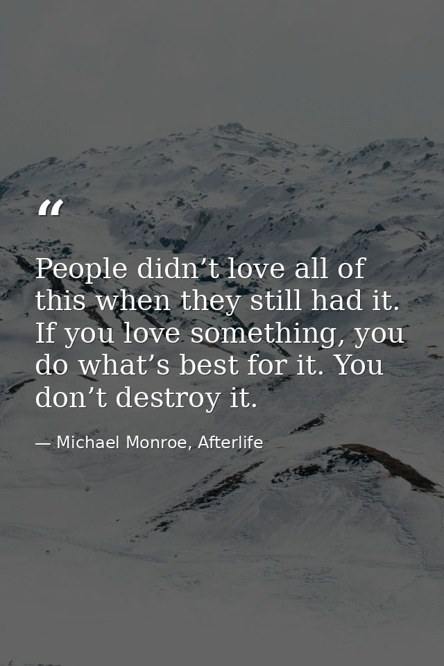 People didn’t love all of this when they still had it. If you love something, you do what’s best for it. You don’t destr — Michael Monroe, Afterlife