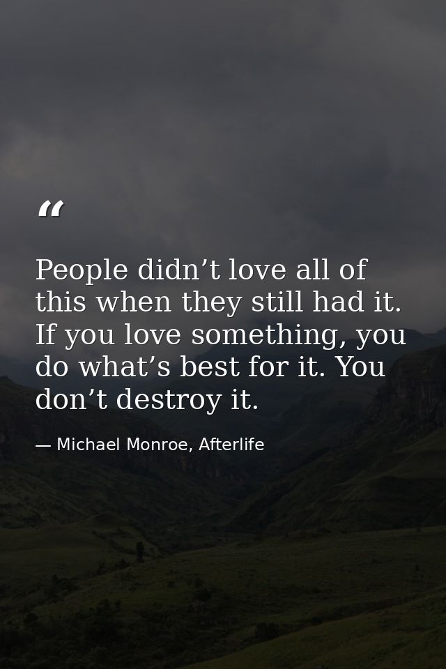 People didn’t love all of this when they still had it. If you love something, you do what’s best for it. You don’t destr — Michael Monroe, Afterlife