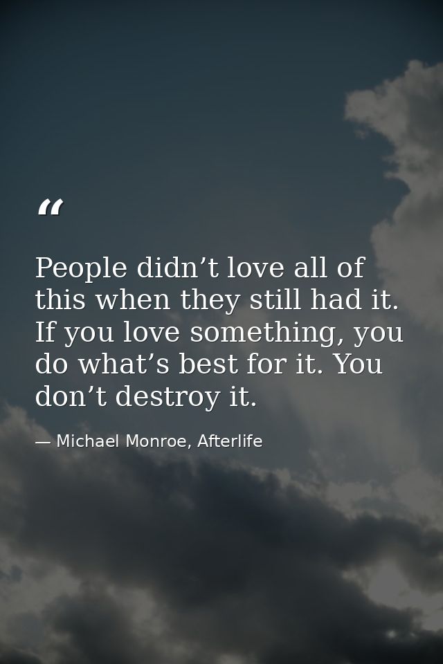 People didn’t love all of this when they still had it. If you love something, you do what’s best for it. You don’t destr — Michael Monroe, Afterlife