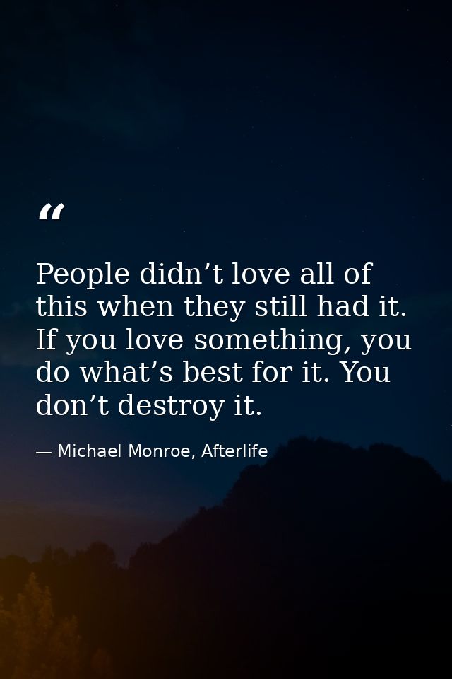 People didn’t love all of this when they still had it. If you love something, you do what’s best for it. You don’t destr — Michael Monroe, Afterlife