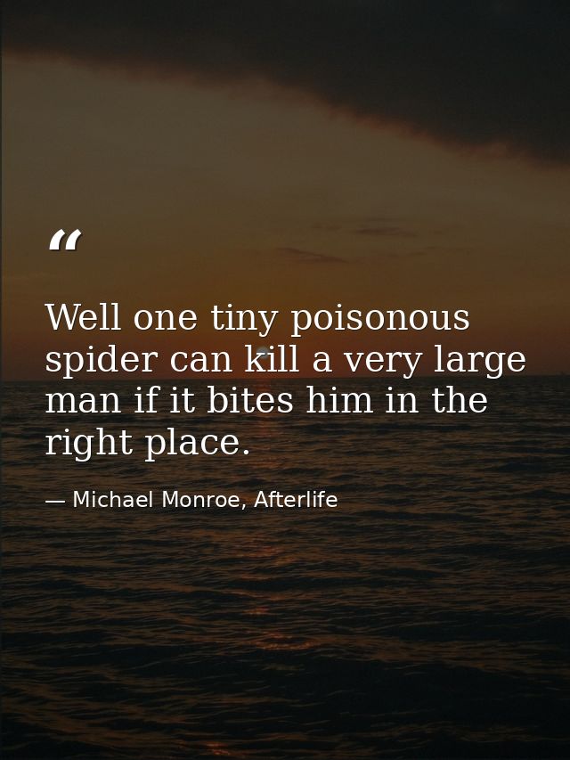 Well one tiny poisonous spider can kill a very large man if it bites him in the right place. — Michael Monroe, Afterlife