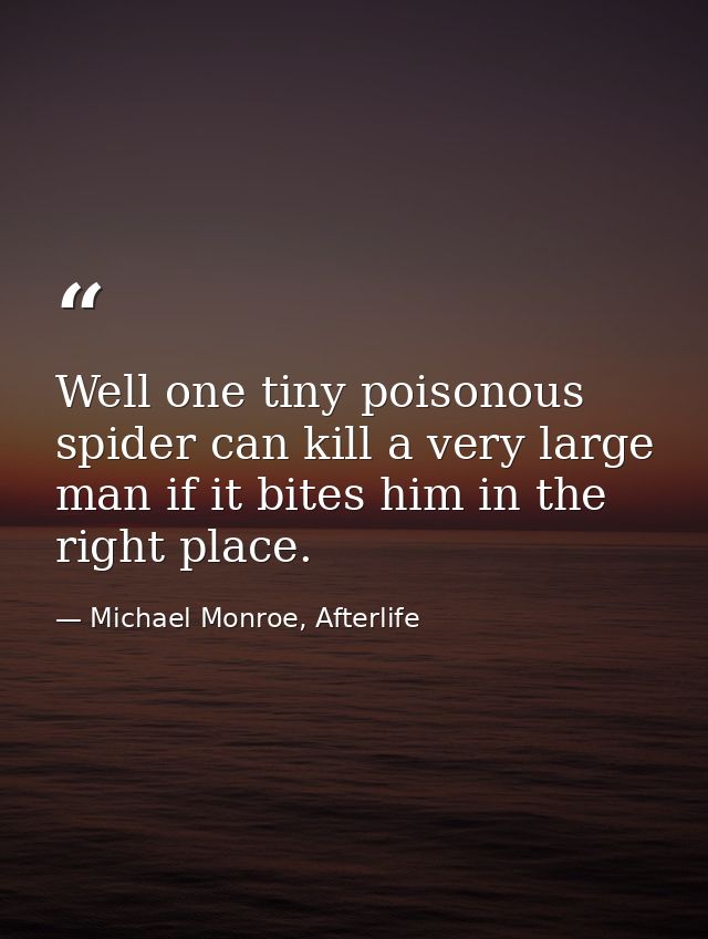 Well one tiny poisonous spider can kill a very large man if it bites him in the right place. — Michael Monroe, Afterlife