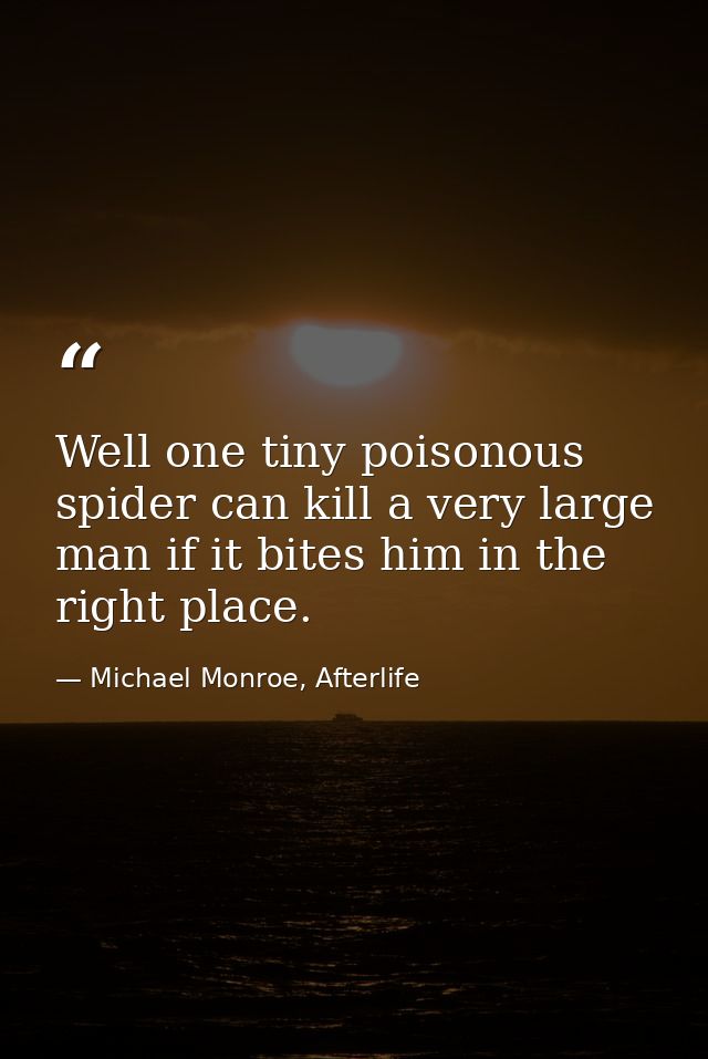 Well one tiny poisonous spider can kill a very large man if it bites him in the right place. — Michael Monroe, Afterlife