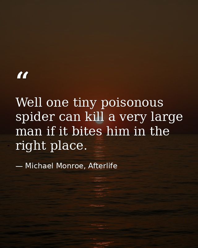 Well one tiny poisonous spider can kill a very large man if it bites him in the right place. — Michael Monroe, Afterlife