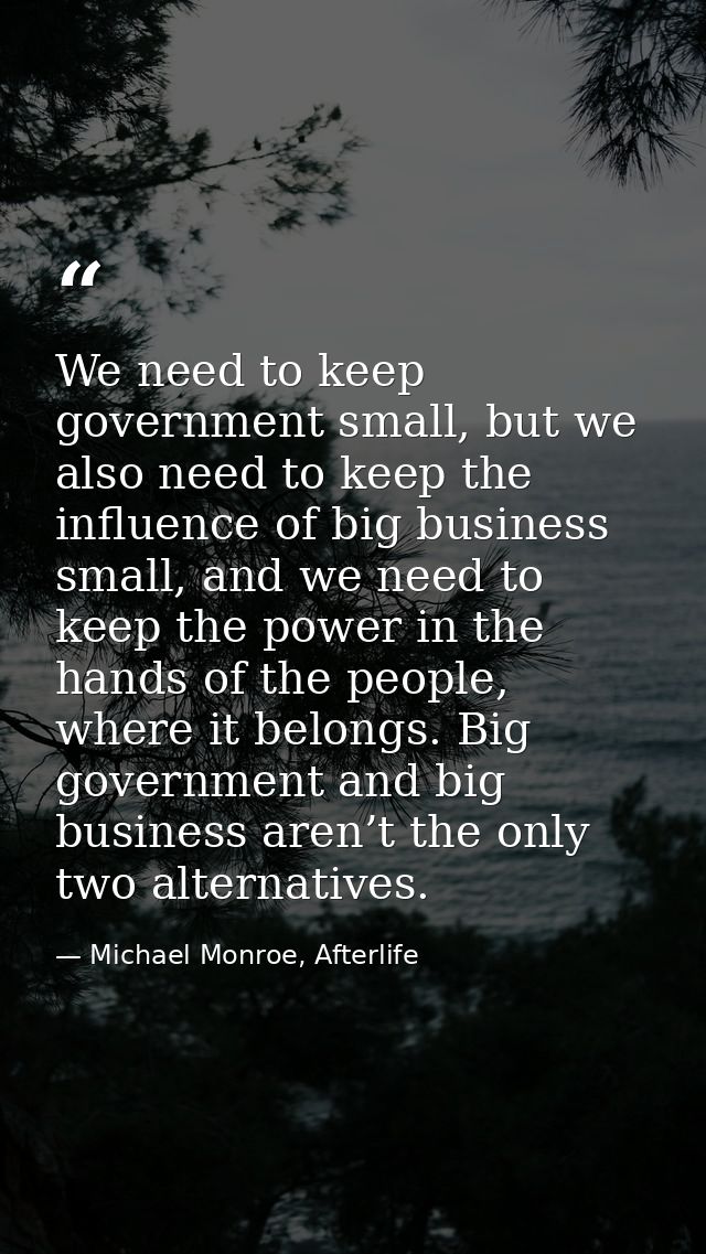 We need to keep government small, but we also need to keep the influence of big business small, and we need to keep the  — Michael Monroe, Afterlife