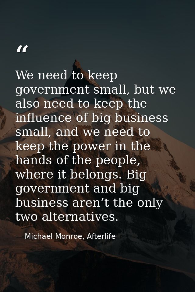 We need to keep government small, but we also need to keep the influence of big business small, and we need to keep the  — Michael Monroe, Afterlife