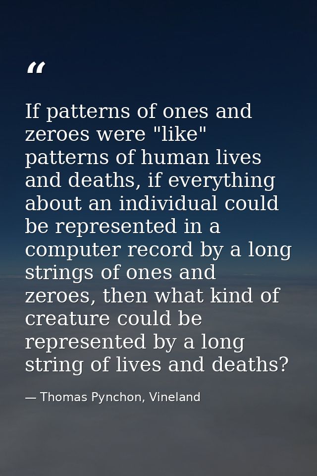 If patterns of ones and zeroes were "like" patterns of human lives and deaths, if everything about an individual could b — Thomas Pynchon, Vineland