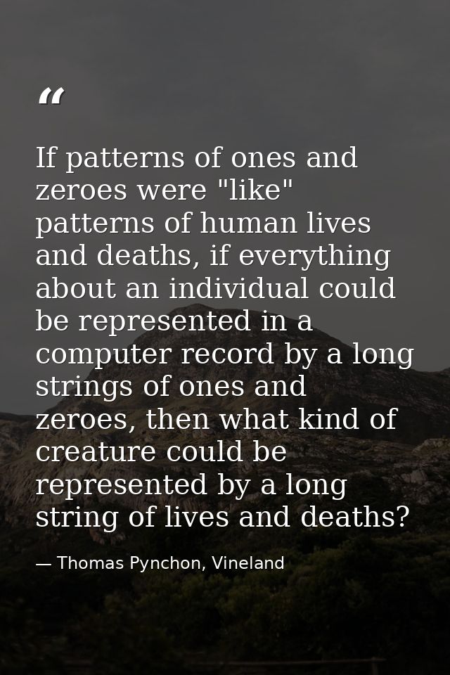 If patterns of ones and zeroes were "like" patterns of human lives and deaths, if everything about an individual could b — Thomas Pynchon, Vineland