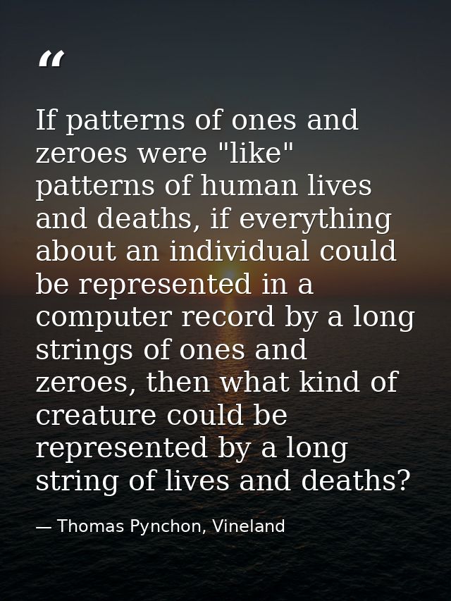 If patterns of ones and zeroes were "like" patterns of human lives and deaths, if everything about an individual could b — Thomas Pynchon, Vineland