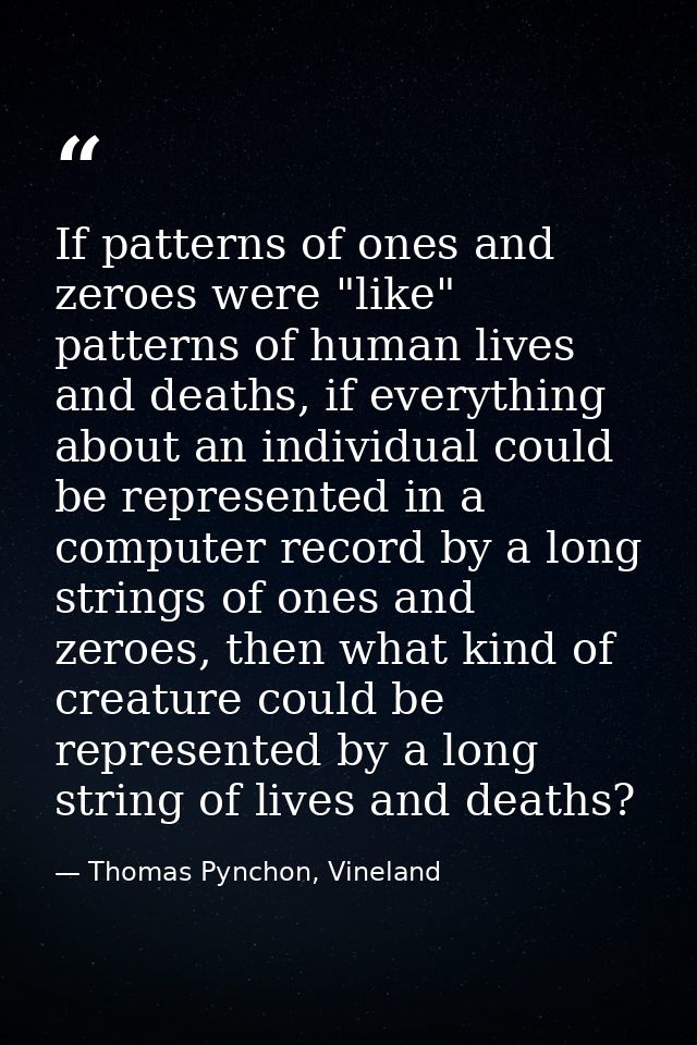 If patterns of ones and zeroes were "like" patterns of human lives and deaths, if everything about an individual could b — Thomas Pynchon, Vineland