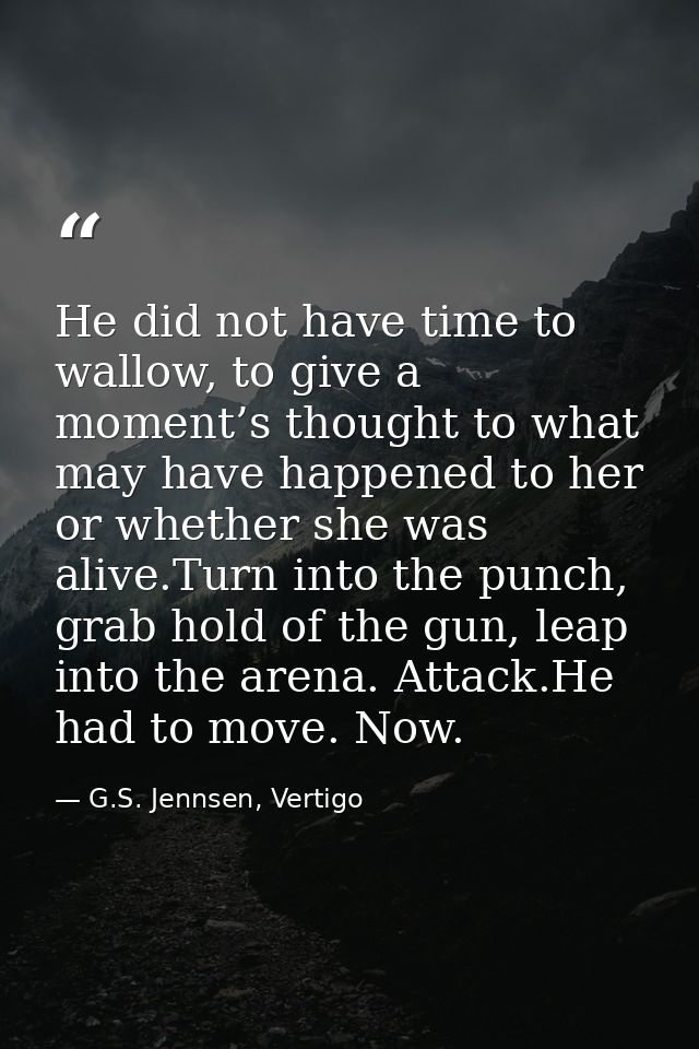 He did not have time to wallow, to give a moment’s thought to what may have happened to her or whether she was alive.Tur — G.S. Jennsen, Vertigo