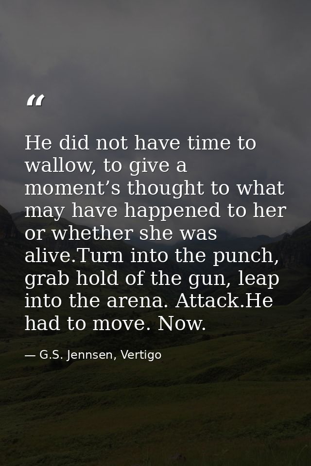 He did not have time to wallow, to give a moment’s thought to what may have happened to her or whether she was alive.Tur — G.S. Jennsen, Vertigo