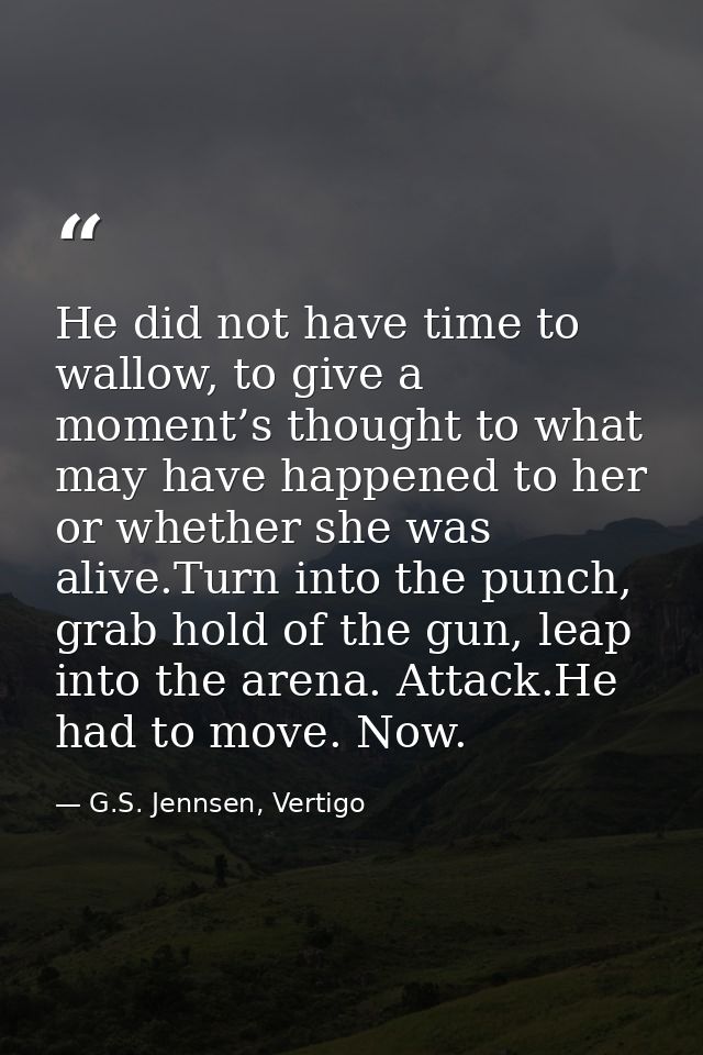 He did not have time to wallow, to give a moment’s thought to what may have happened to her or whether she was alive.Tur — G.S. Jennsen, Vertigo