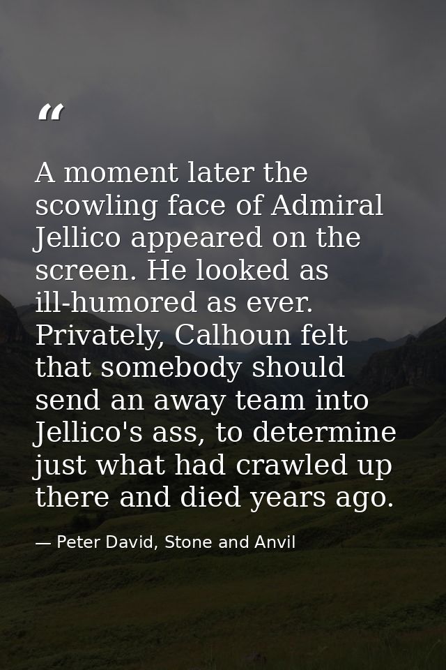A moment later the scowling face of Admiral Jellico appeared on the screen. He looked as ill-humored as ever. Privately, — Peter David, Stone and Anvil