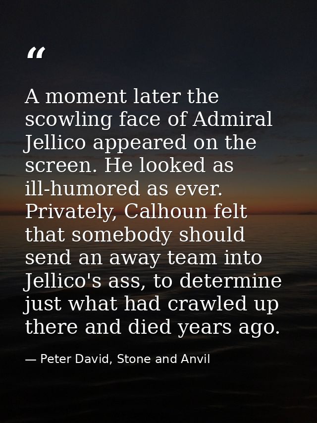 A moment later the scowling face of Admiral Jellico appeared on the screen. He looked as ill-humored as ever. Privately, — Peter David, Stone and Anvil