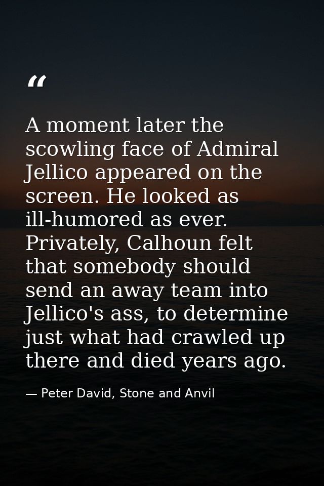 A moment later the scowling face of Admiral Jellico appeared on the screen. He looked as ill-humored as ever. Privately, — Peter David, Stone and Anvil