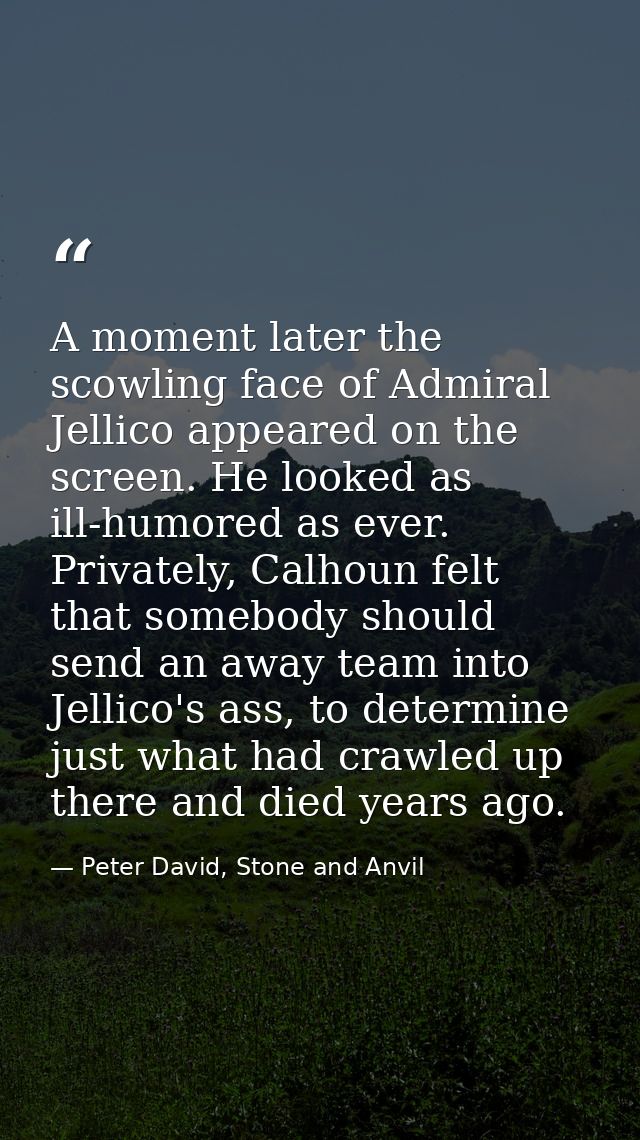 A moment later the scowling face of Admiral Jellico appeared on the screen. He looked as ill-humored as ever. Privately, — Peter David, Stone and Anvil