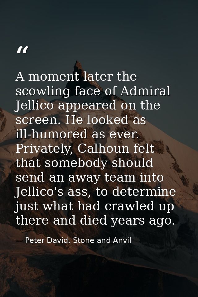 A moment later the scowling face of Admiral Jellico appeared on the screen. He looked as ill-humored as ever. Privately, — Peter David, Stone and Anvil