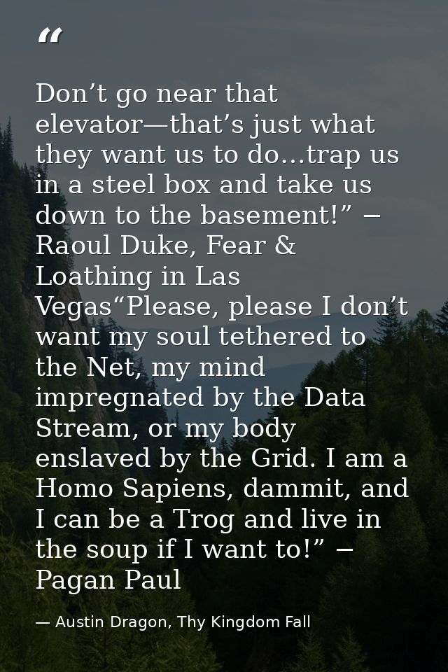 Don’t go near that elevator—that’s just what they want us to do…trap us in a steel box and take us down to the basement! — Austin Dragon, Thy Kingdom Fall