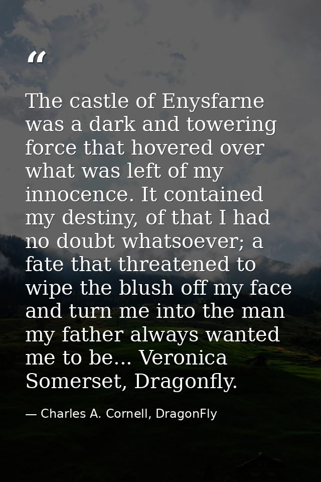 The castle of Enysfarne was a dark and towering force that hovered over what was left of my innocence. It contained my d — Charles A. Cornell, DragonFly
