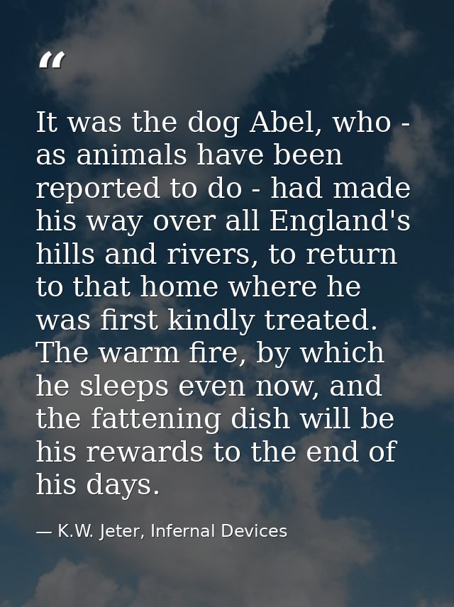 It was the dog Abel, who - as animals have been reported to do - had made his way over all England's hills and rivers, t — K.W. Jeter, Infernal Devices