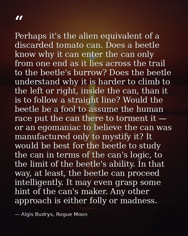 Perhaps it's the alien equivalent of a discarded tomato can. Does a beetle know why it can enter the can only from one e — Algis Budrys, Rogue Moon