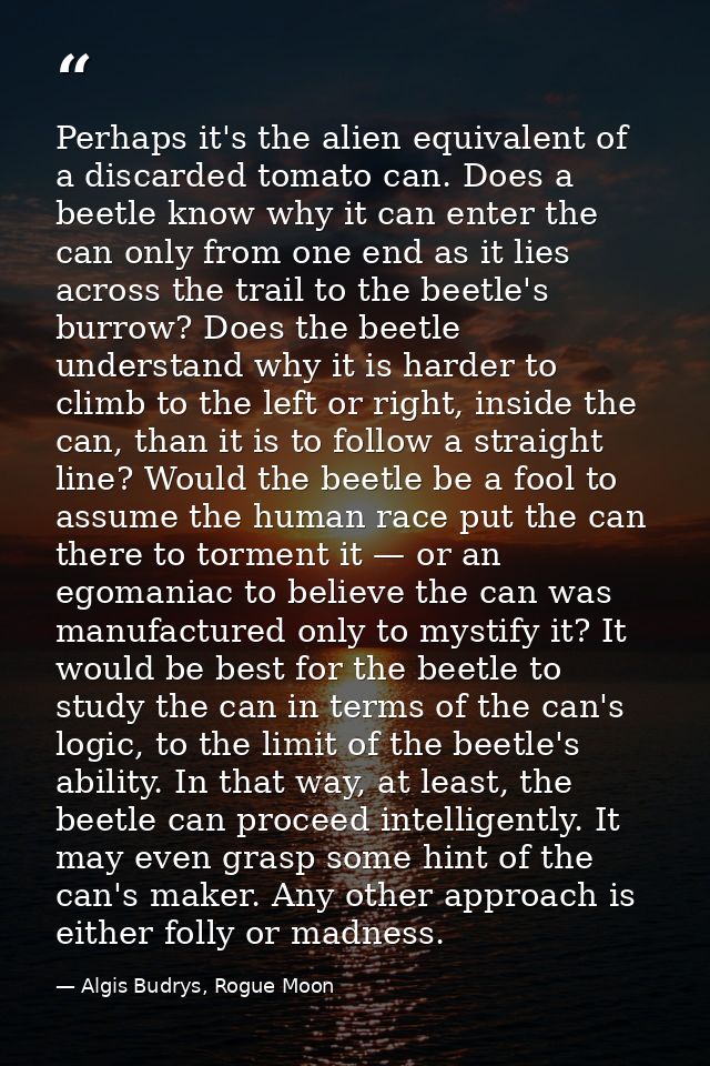 Perhaps it's the alien equivalent of a discarded tomato can. Does a beetle know why it can enter the can only from one e — Algis Budrys, Rogue Moon