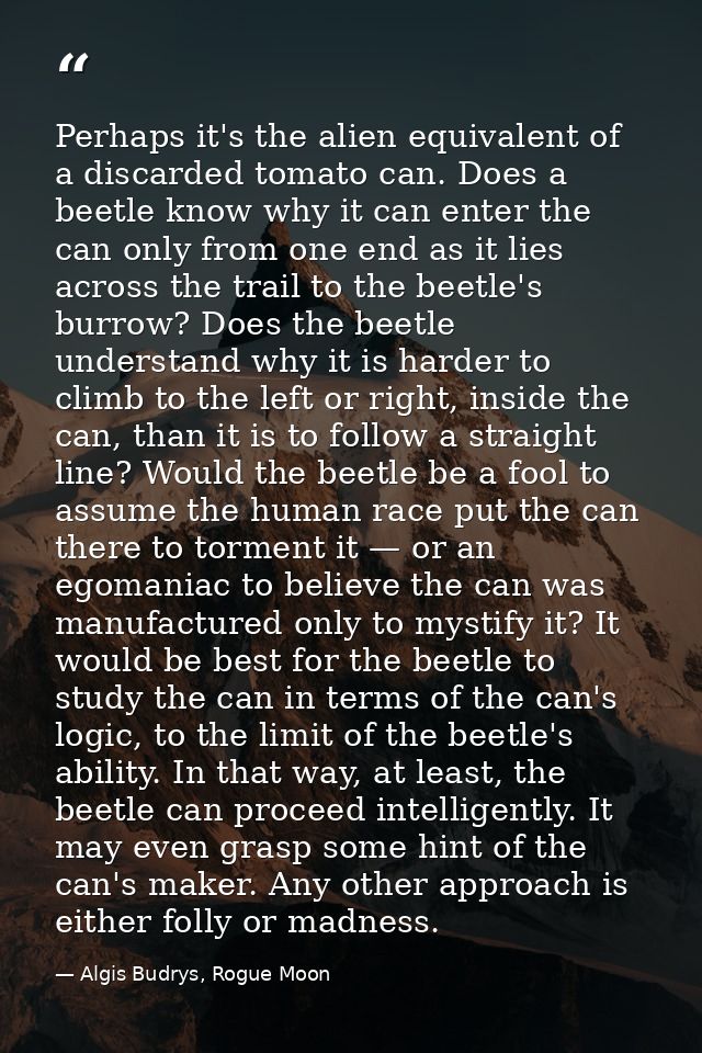 Perhaps it's the alien equivalent of a discarded tomato can. Does a beetle know why it can enter the can only from one e — Algis Budrys, Rogue Moon