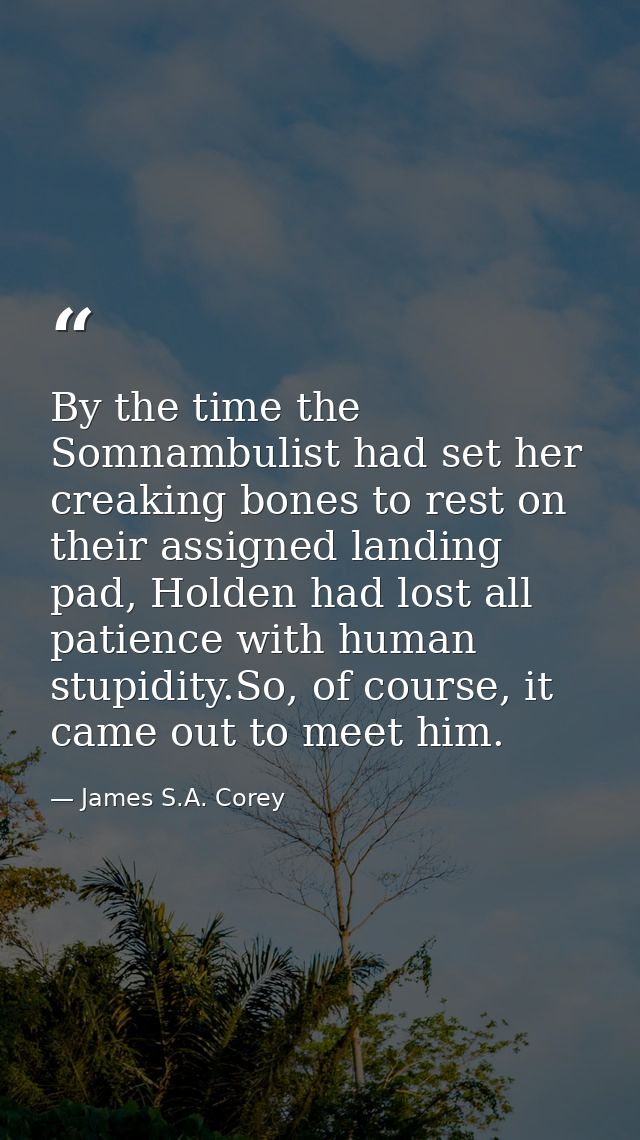 By the time the Somnambulist had set her creaking bones to rest on their assigned landing pad, Holden had lost all patie — James S.A. Corey