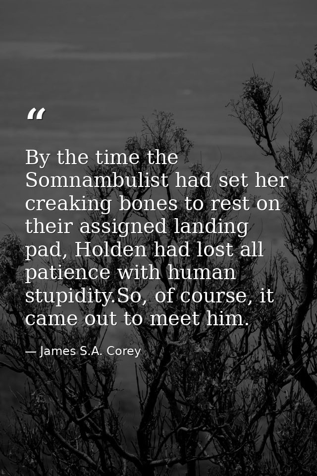 By the time the Somnambulist had set her creaking bones to rest on their assigned landing pad, Holden had lost all patie — James S.A. Corey