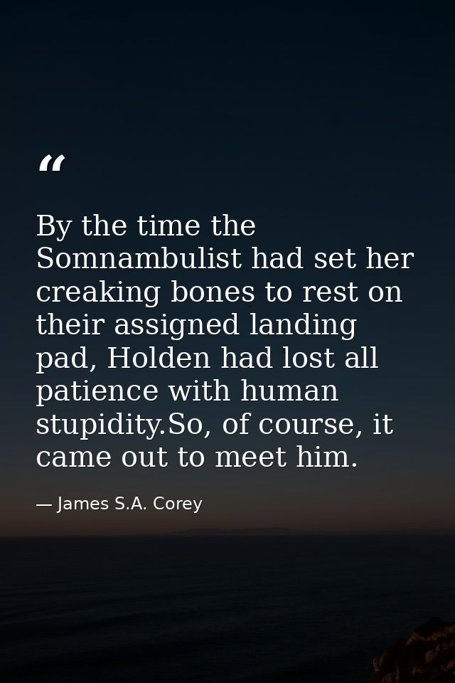 By the time the Somnambulist had set her creaking bones to rest on their assigned landing pad, Holden had lost all patie — James S.A. Corey