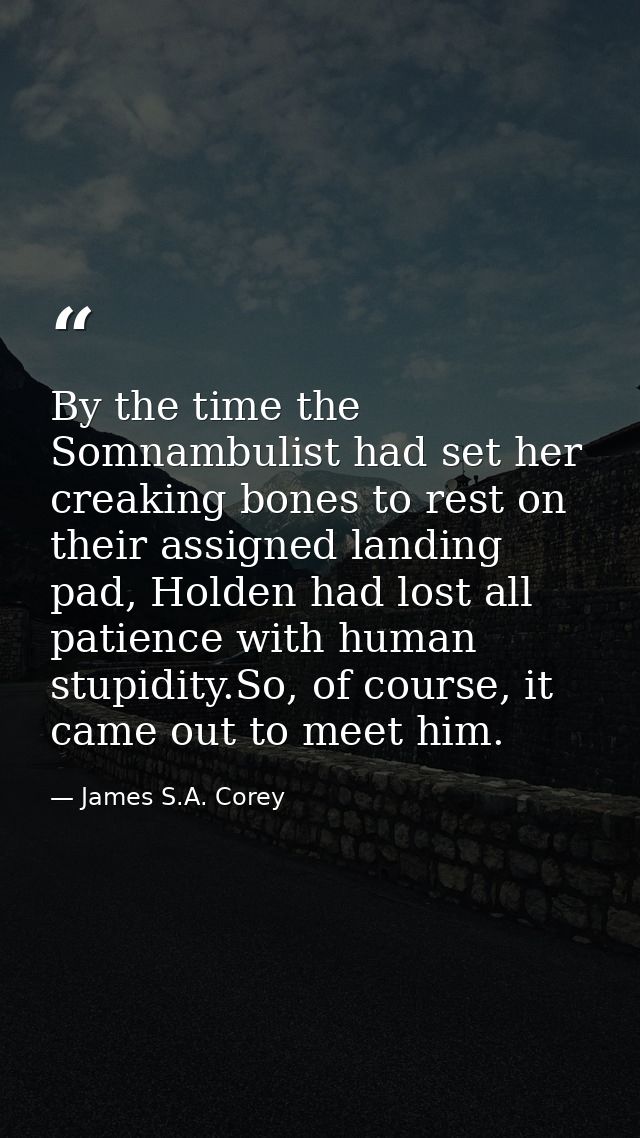 By the time the Somnambulist had set her creaking bones to rest on their assigned landing pad, Holden had lost all patie — James S.A. Corey
