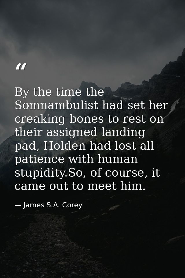 By the time the Somnambulist had set her creaking bones to rest on their assigned landing pad, Holden had lost all patie — James S.A. Corey