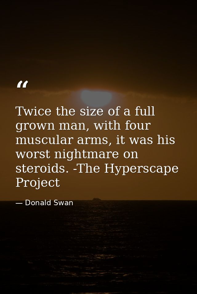 Twice the size of a full grown man, with four muscular arms, it was his worst nightmare on steroids. -The Hyperscape Pro — Donald Swan
