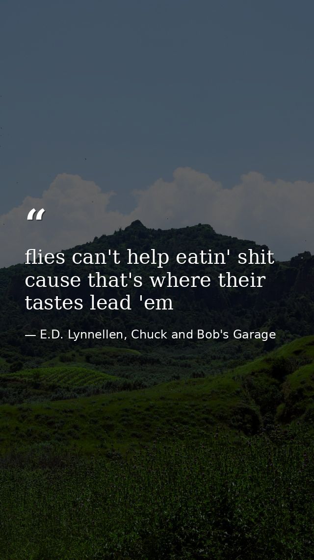 flies can't help eatin' shit cause that's where their tastes lead 'em — E.D. Lynnellen, Chuck and Bob's Garage