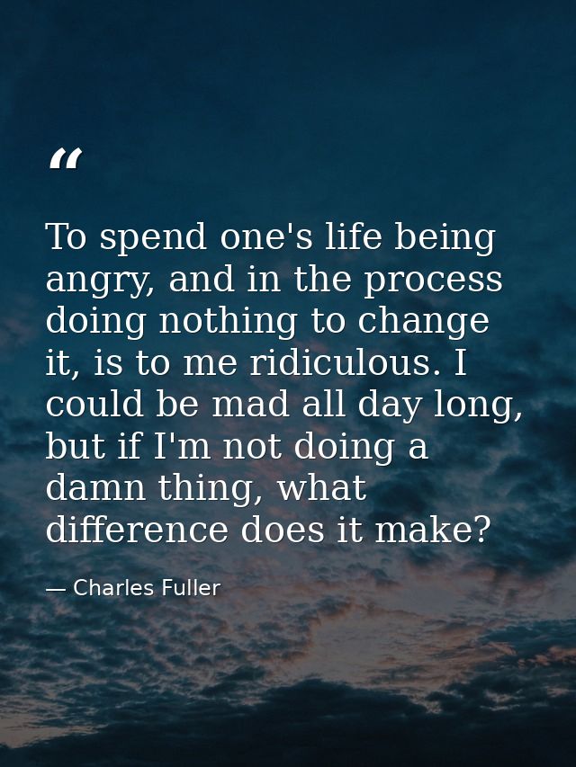 To spend one's life being angry, and in the process doing nothing to change it, is to me ridiculous. I could be mad all  — Charles Fuller