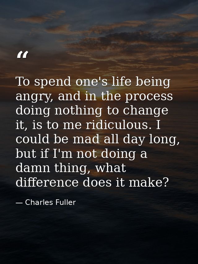 To spend one's life being angry, and in the process doing nothing to change it, is to me ridiculous. I could be mad all  — Charles Fuller