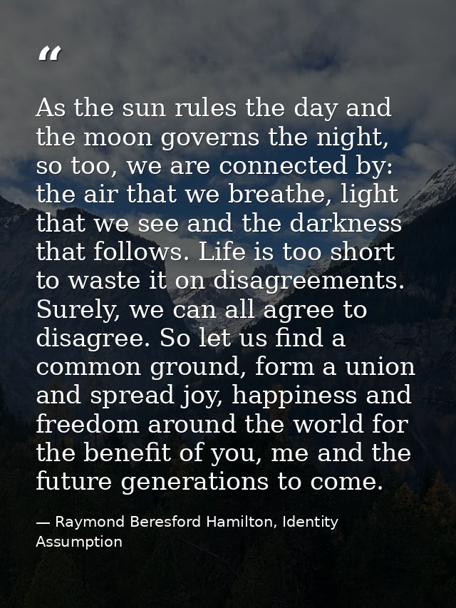 As the sun rules the day and the moon governs the night, so too, we are connected by: the air that we breathe, light tha — Raymond Beresford Hamilton, Identity Assumption