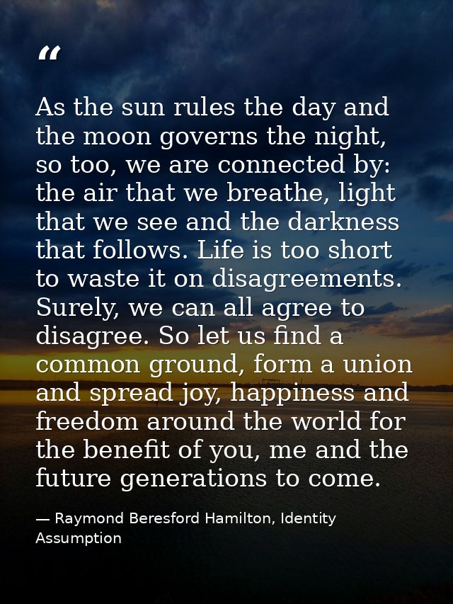 As the sun rules the day and the moon governs the night, so too, we are connected by: the air that we breathe, light tha — Raymond Beresford Hamilton, Identity Assumption