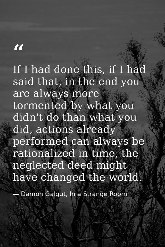 If I had done this, if I had said that, in the end you are always more tormented by what you didn't do than what you did — Damon Galgut, In a Strange Room