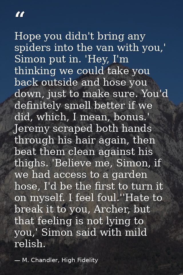 Hope you didn't bring any spiders into the van with you,' Simon put in. 'Hey, I'm thinking we could take you back outsid — M. Chandler, High Fidelity