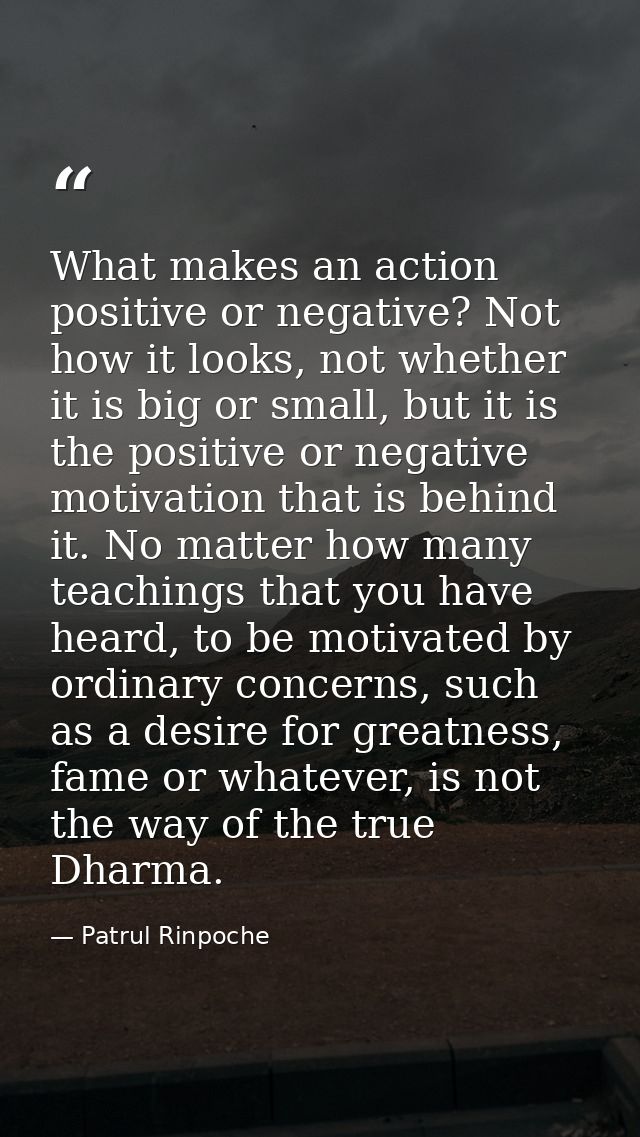 What makes an action positive or negative? Not how it looks, not whether it is big or small, but it is the positive or n — Patrul Rinpoche