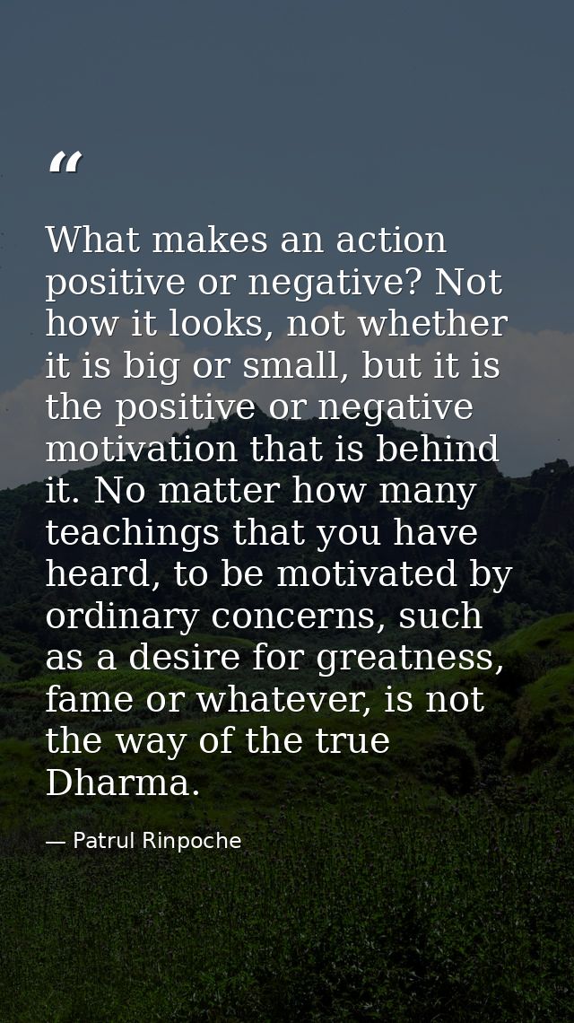 What makes an action positive or negative? Not how it looks, not whether it is big or small, but it is the positive or n — Patrul Rinpoche