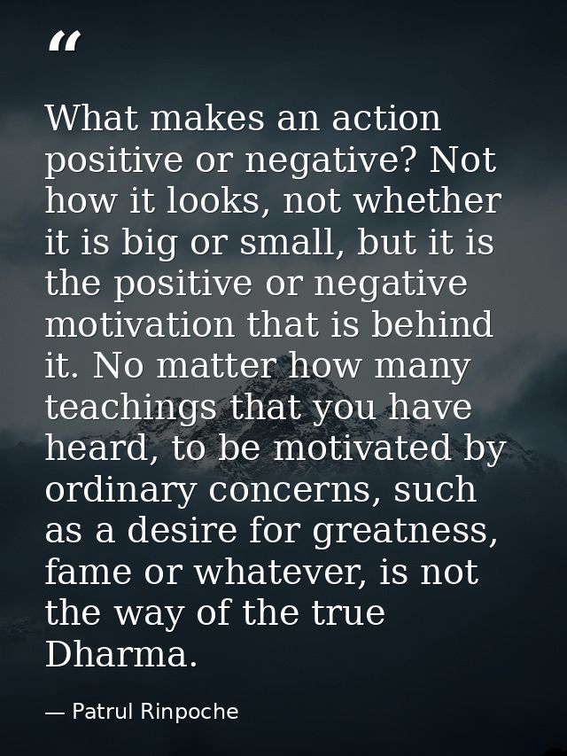 What makes an action positive or negative? Not how it looks, not whether it is big or small, but it is the positive or n — Patrul Rinpoche