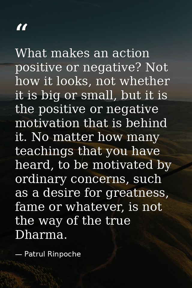 What makes an action positive or negative? Not how it looks, not whether it is big or small, but it is the positive or n — Patrul Rinpoche